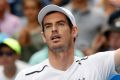 Justified: Andy Murray is the undisputed favourite now for the Australian Open.