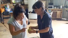 Blogger Nagi Maehashi inspects a mango packing shed