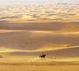 While enjoying an early morning balloon ride over the Dubai Desert we were amazed to see a lone horseman riding out ...