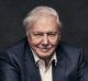 Sir David Attenborough Sir David Attenborough is about to come to Australia and release Planet Earth II.