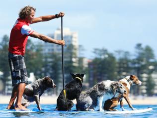 DOG WHISPERING PADDLE BOARDER