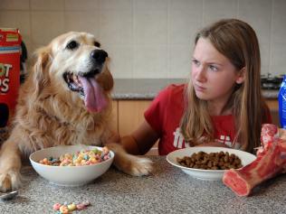 30/10/2008 NEWS: A new book by Perth scientist Dr Peter Dingle 'My Dog Eats Better Than Your Kids' says that we are 'treating our kids to death' . Sam Merrett, 11, sits in front of the highly nutritious Advance Pet Nutrition Dog Food while Cooper sits turns his nose up at Froot Loops.