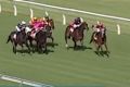 Moment of madness: Jockey Josh Cartwright's controversial ride at Morphettville.