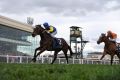 Brad Rawiller rides Black Heart Bart to defeat Rising Romance in the New Zealand Bloodstock Memsie Stakes at Caulfield ...