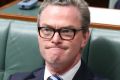 Christopher Pyne has been labelled a 'menace' by a Coalition backbencher for coveting Marise Payne's job.