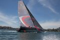 Good shape: Scallywag is set to challenge Wild Oats XI for line honours.