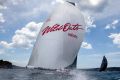 Opportunity: Wild Oats XI could break its own record.