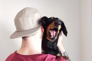 Canberra Times "Me and my pet" photocomp-Sancho Murphy / Chris Murphy ADDRESS: 200 Beasley Street, Farrer, ACT, 2607 ...