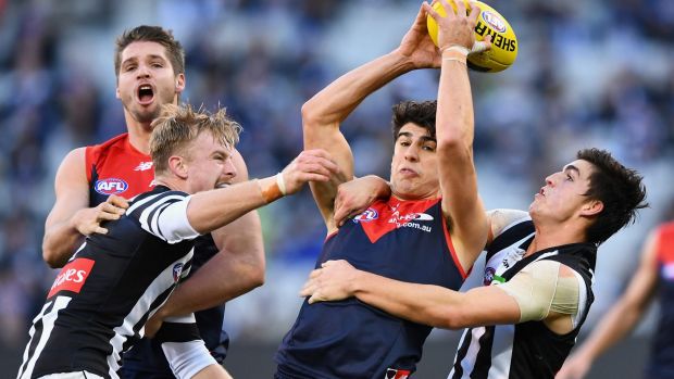 In-tight: Christian Petracca is tackled by Brayden Maynard.