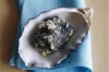 Tempura oysters. <a href="http://www.goodfood.com.au/recipes/tempura-oysters-20131220-2zpie"><b>(Recipe here).</b></a>