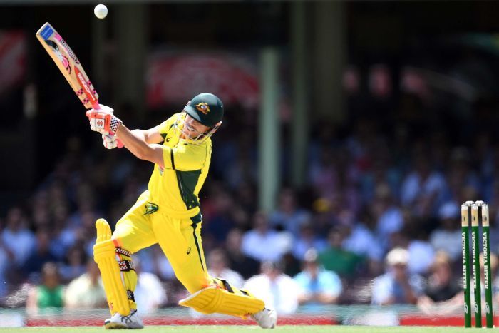 David Warner smashes one