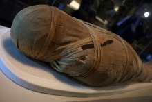 The wrapped mummy of Shepenmehyt (Tim Leslie)