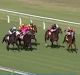 Moment of madness: Jockey Josh Cartwright's controversial ride at Morphettville.