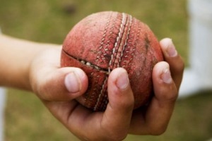 An Adelaide council is considering a ban on hard cricket balls.