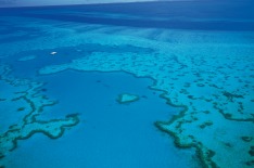 great barrier reef queensland