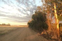 Moree summer sunrise (Twitter: @EconoLodgeMoree)