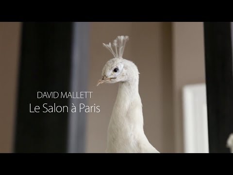 David Mallett: Le Salon à Paris