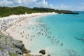 The OECD says Bermuda is among a handful of new nations that have joined the crackdown on multinationals.