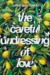 The Careful Undressing of Love