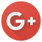 Google+ icon