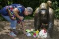 A visitor greets the statue of Harambe the gorilla at Cincinnati Zoo.