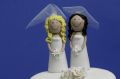 The Law Council of Australia says civil celebrants should be required to perform same-sex ceremonies.