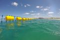 The Eco Shark Barrier in operation at Coogee Beach, Western Australia.