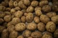 Difficult planting conditions have led to a short supply of potatoes and high prices for now. 