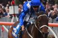 Streets ahead: Winx has won 13 successive races since September 2015.