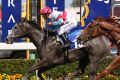 Darren Gauchi (in pink cap) on Tempest Tost, Magic Millions trophy winner.