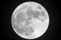 Could the moon have been formed from several pieces of space debris?