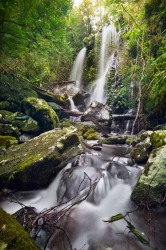 This photo was taken whilst hiking through Queensland's beautiful Lamington national park during the June/July holidays ...