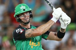 Kevin Pietersen: Definitely required next campaign, say Stars.