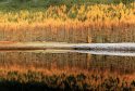 Autumn in Glen
Cannich. Photograph:
Ali Bain, from
Garmouth