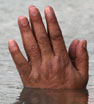 A Sikh devotee prays as he takes a holy dip in the sacred pond of the Golden Temple, in Amritsar, India