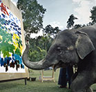 Elephants create beautiful paintings