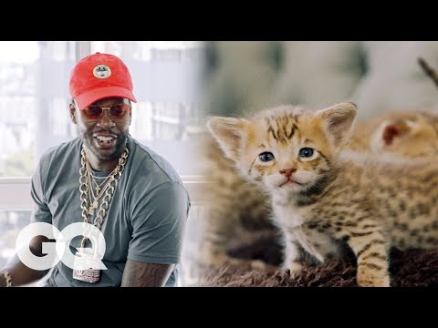 2 Chainz Plays with $165,000 Kittens | Most Expensivest Shit | GQ