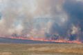 A bushfire burns through grasslands near Tarago.