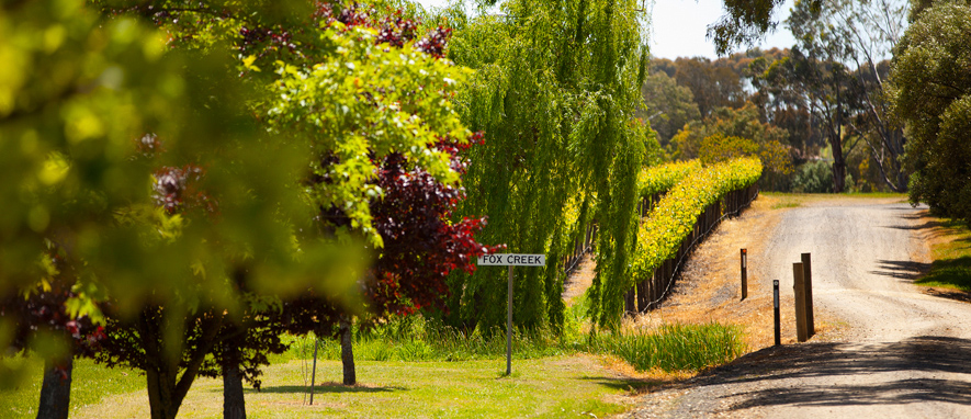 Fox Creek Vines