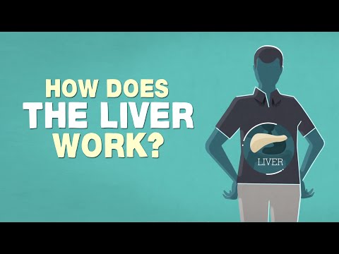 What does the liver do? - Emma Bryce