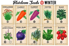 Winter Seed Bundle