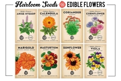 Edible Flower Seed Bundle