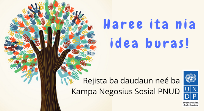  Bele halo registu ba UNDP Kampu Inovasaun Negosiu Sociais ! Registu iha ne'e