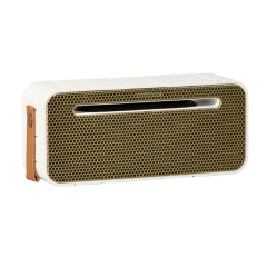 Amove Wireless Speaker