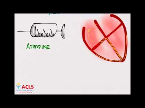 PALS Medications Part One by ACLS Certification Institute