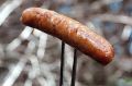 SPRINTSCAN  PIC JIM RICE.

PIC SHOWS..........bbq pic.  bbq snag.  / snags / sausages.

Shows a cooked sausage on a ...