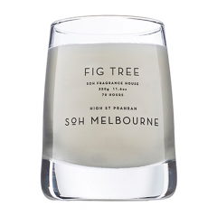 Fig Tree Glass Candle