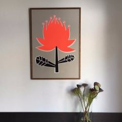 Waratah Silkscreen Print