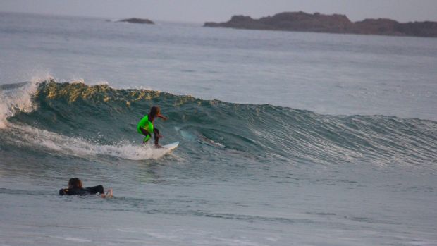 The picture of the 2.5-metre shark was taken from the shore.