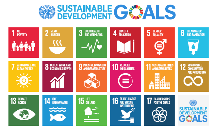 At the Sustainable Development Summit on 25 September 2015, UN Member States will adopt the 2030 Agenda for Sustainable Development, including a set of Sustainable Development Goals (SDGs), otherwise known as the Global Goals.